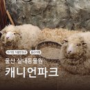 옥동목장 | 울산 실내 동물원 캐니언파크 (18개월 미만 아기 무료)