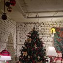 개꿀잼 애견카페 | 일상 + 근황글