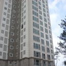 남부-신정-신정01 네이버블로그