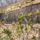 원식농장 이미지