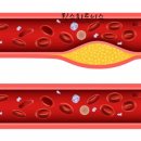 퀸스 휘트니스 이미지