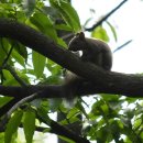 능골근린공원 이미지