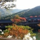 가정관리사 사회적협동조합