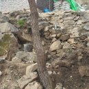 내장산국립공원화장실(사무소) 이미지