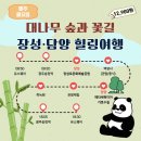 남도버스2 | 광주 뚜벅이 여행 전라남도 버스 여행 남도한바퀴 이용 방법