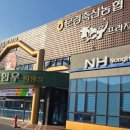 금강산축산 - 동구 대전로 786-1 | 금강산축산