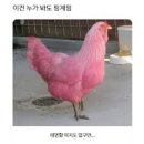 김안과콘택트렌즈실 네이버블로그
