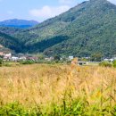 신풍공원 이미지