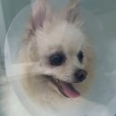 바른동물병원 이미지