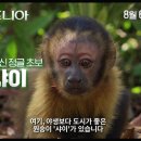 아마조니아 ( Amazonia 2014 프랑스,브라질 ) 이미지