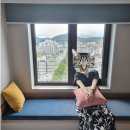 아만티 호텔(Amanti Hotel) | 서울호캉스 추천ㅣ홍대입구역 아만티 호텔 1박 후기 조식 뷰까지