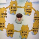 고양이나라 이미지