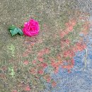 웰리치공인중개사사무소 이미지