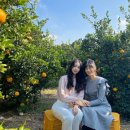 청신농장 이미지