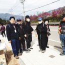 제49회 광양 옥룡사 홍매화 2025년3월12일 이미지