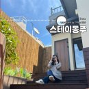 스테이동주