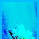 전못 | 서울운전연수 내돈내산 서울 초보운전연수:연수 후의 운전 습관