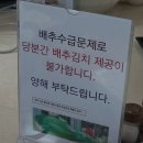 에이스건축사사무소 | 2024년 10월의 한국 일상
