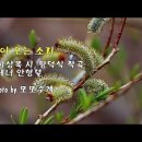 봄이 오는 소리( 피 어 나 는 봄 의 소 리) 이미지