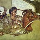 부케팔로스 이미지