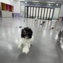 (주)라온부동산중개법인 이미지