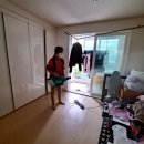 그린청소방역 이미지
