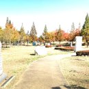 호수공원_희망의동산 이미지