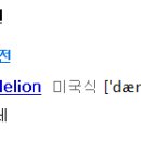 단델리온헤어살롱