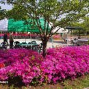 수안보초 이미지