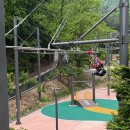 태학산자연휴양림 잔디광장 | ‘여름휴가 천안 어때?’ 볼거리·즐길거리·놀거리 ‘가득’