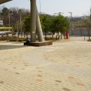 진접푸른숲도서관 이미지