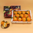 석희농장 이미지