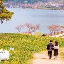 대나무랜드 이미지