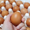 숲에서 온 유정란 이미지