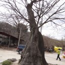 남천고을 이미지