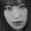 하니비디오 이미지