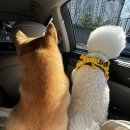 새론주유소 이미지