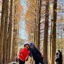 겨울연가 동상 | 서울에서 남이섬 가는법 ITX 청춘열차 기차타고 가평역