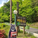 내원계곡라온펜션 이미지