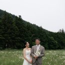 평평스테이 이미지