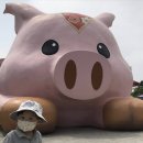 3형제농장 이미지