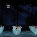 유니버설발레단 지젤 이미지