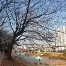 장암동아파트 ~ 동막교 이미지