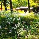 연곡리 사지 이미지