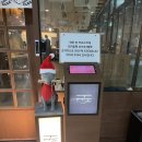 한국지엠마포바로서비스 | [마포역 맛집] 개인 화로로 즐기는 프리미엄 규카츠 맛집 '규도' 후기