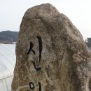 신전면사무소 이미지