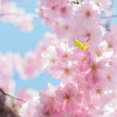 여우비 관광호텔 이미지