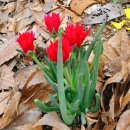 소천월가 이미지