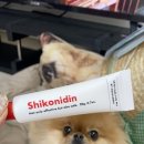 시유펫