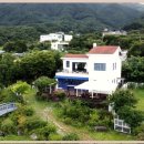 내강아지 이미지